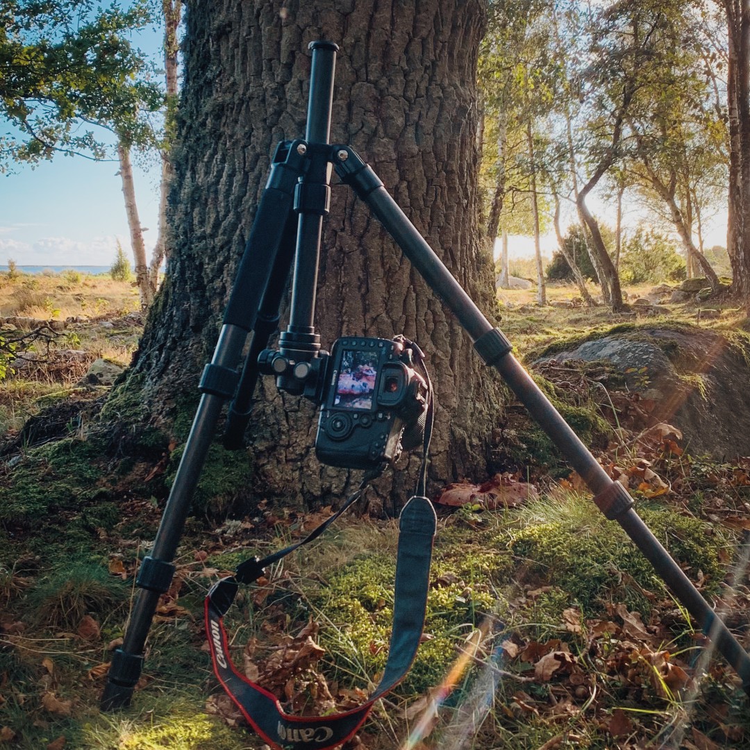 Focus Stacking med Magic Lantern