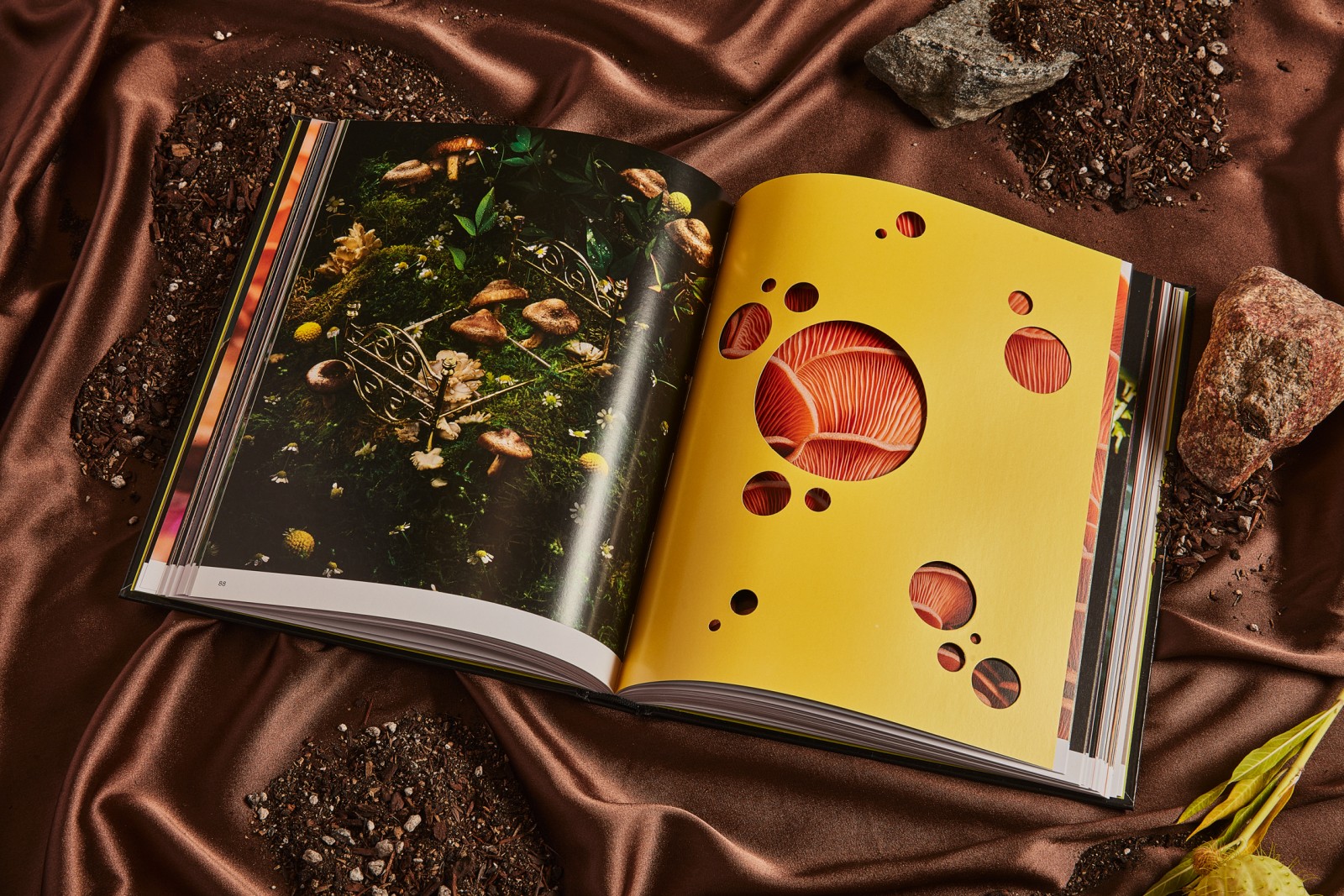 Spores: Magical Mushroom Photography
