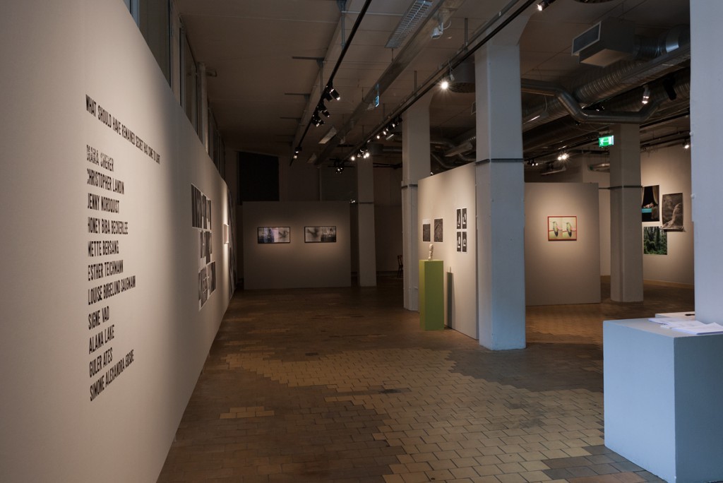Fotogalleriet Format