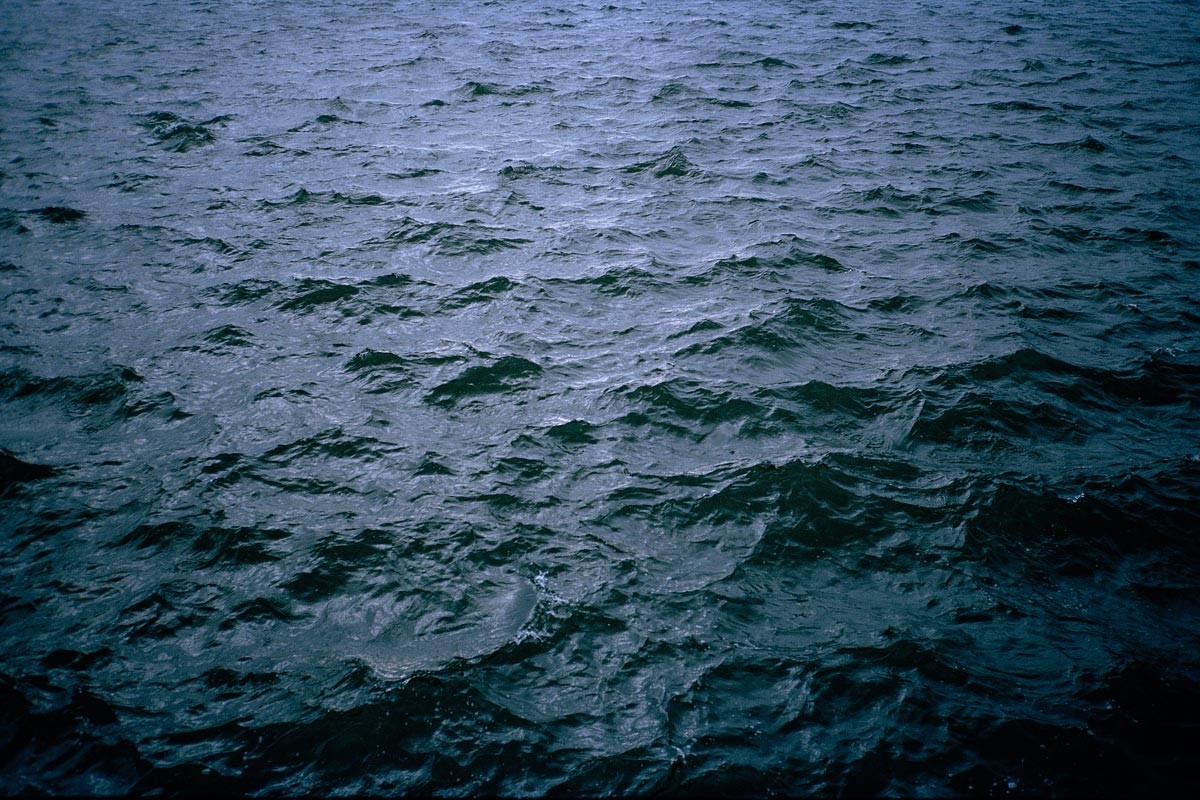 Collection: Water surfaces