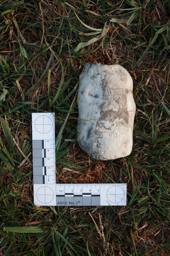 Earth Studies