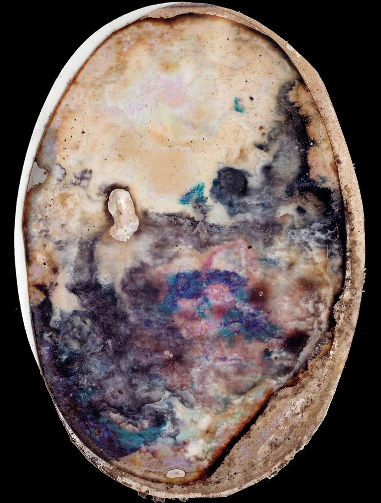 Experiment with Mold