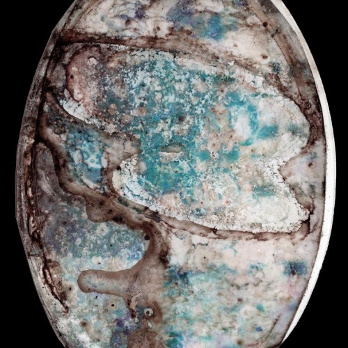 Experiment with Mold