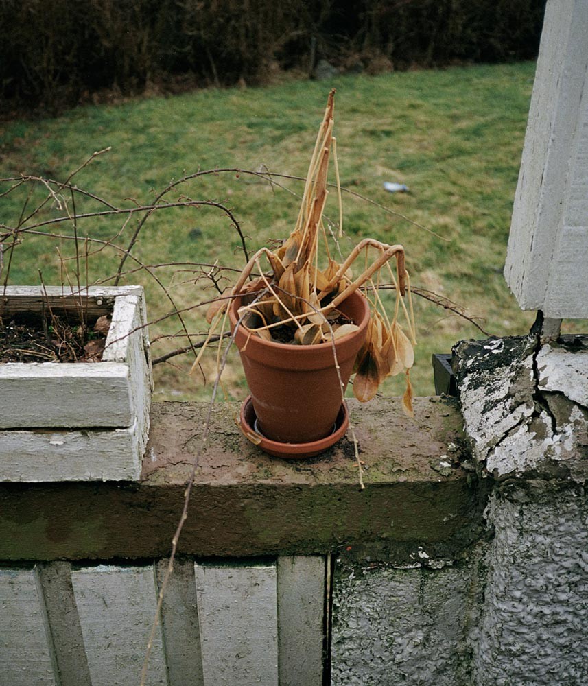The Politics of Everyday Life
