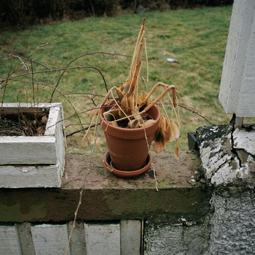The Politics of Everyday Life