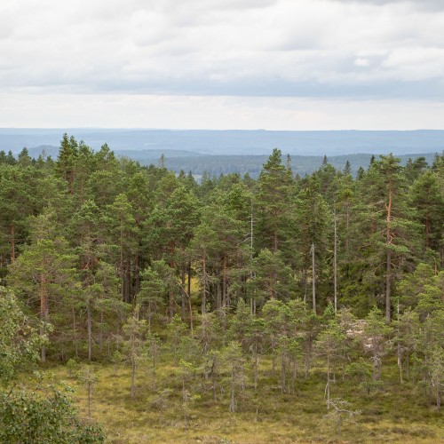 Kindla naturreservat