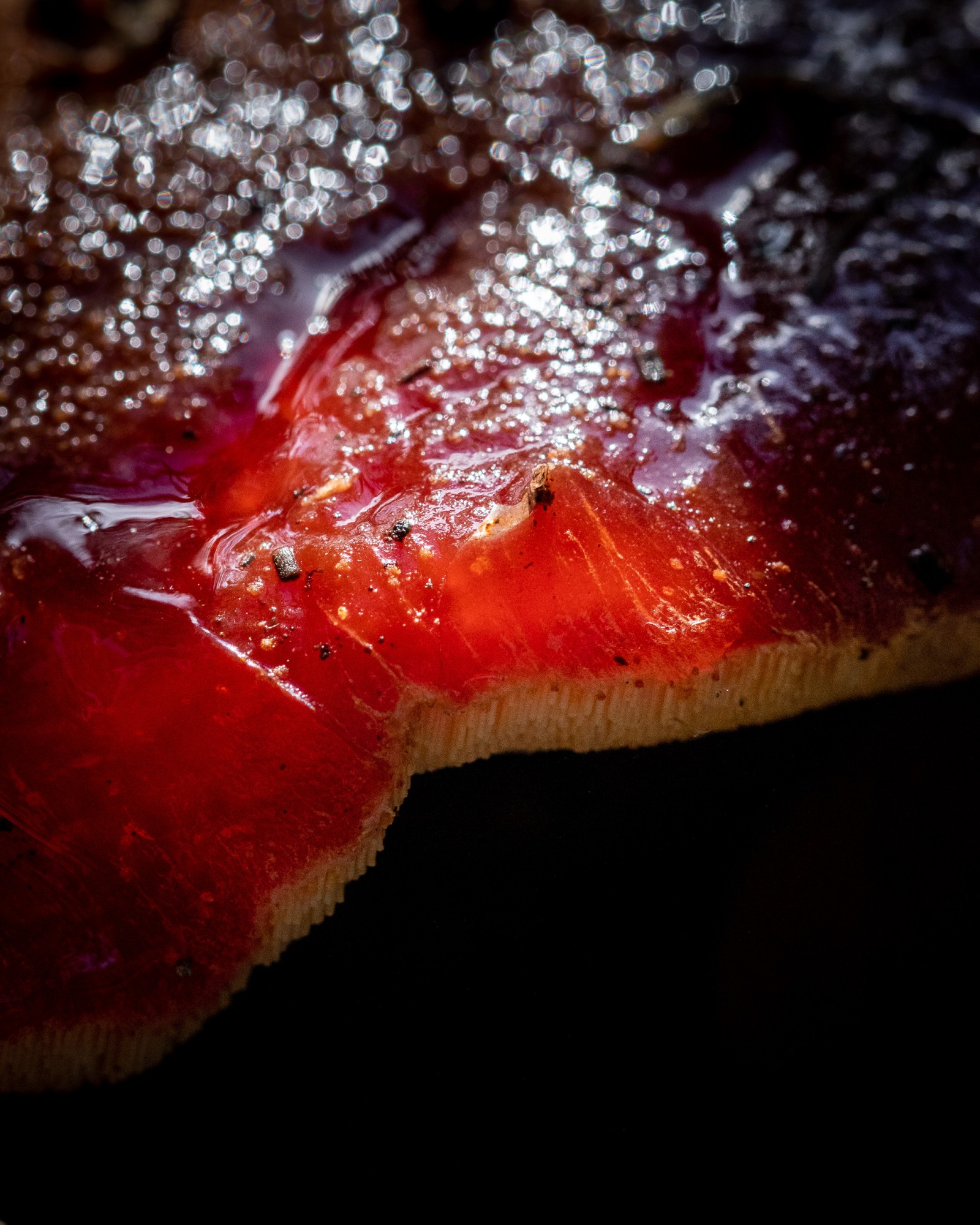 Fistulina hepatica