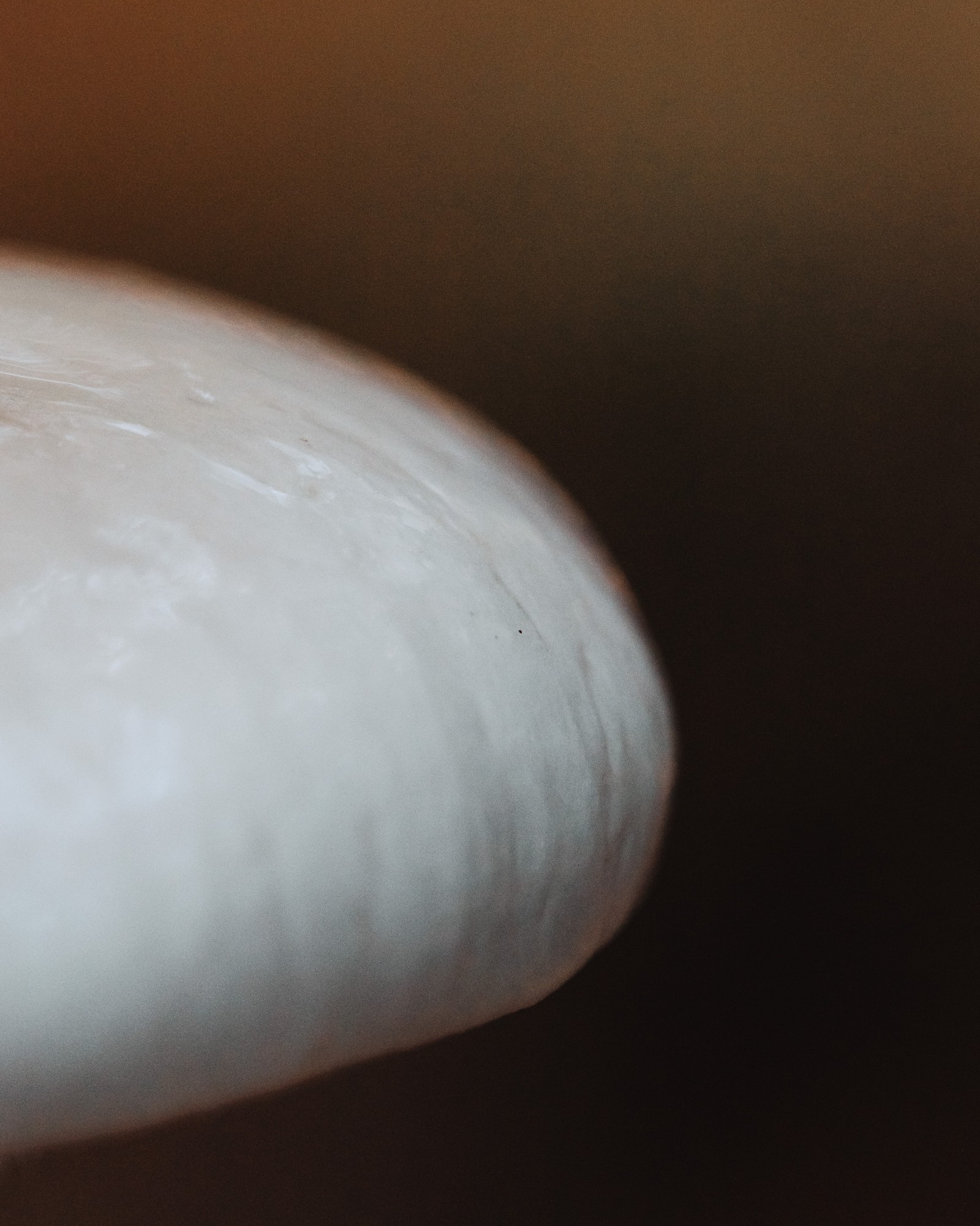 Mucidula mucida