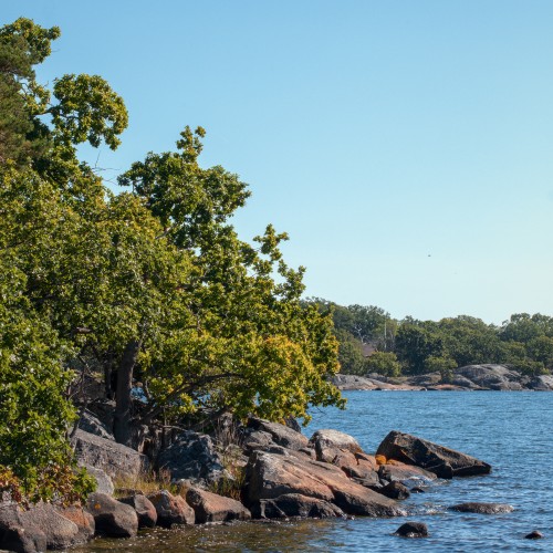 Knösö Udde